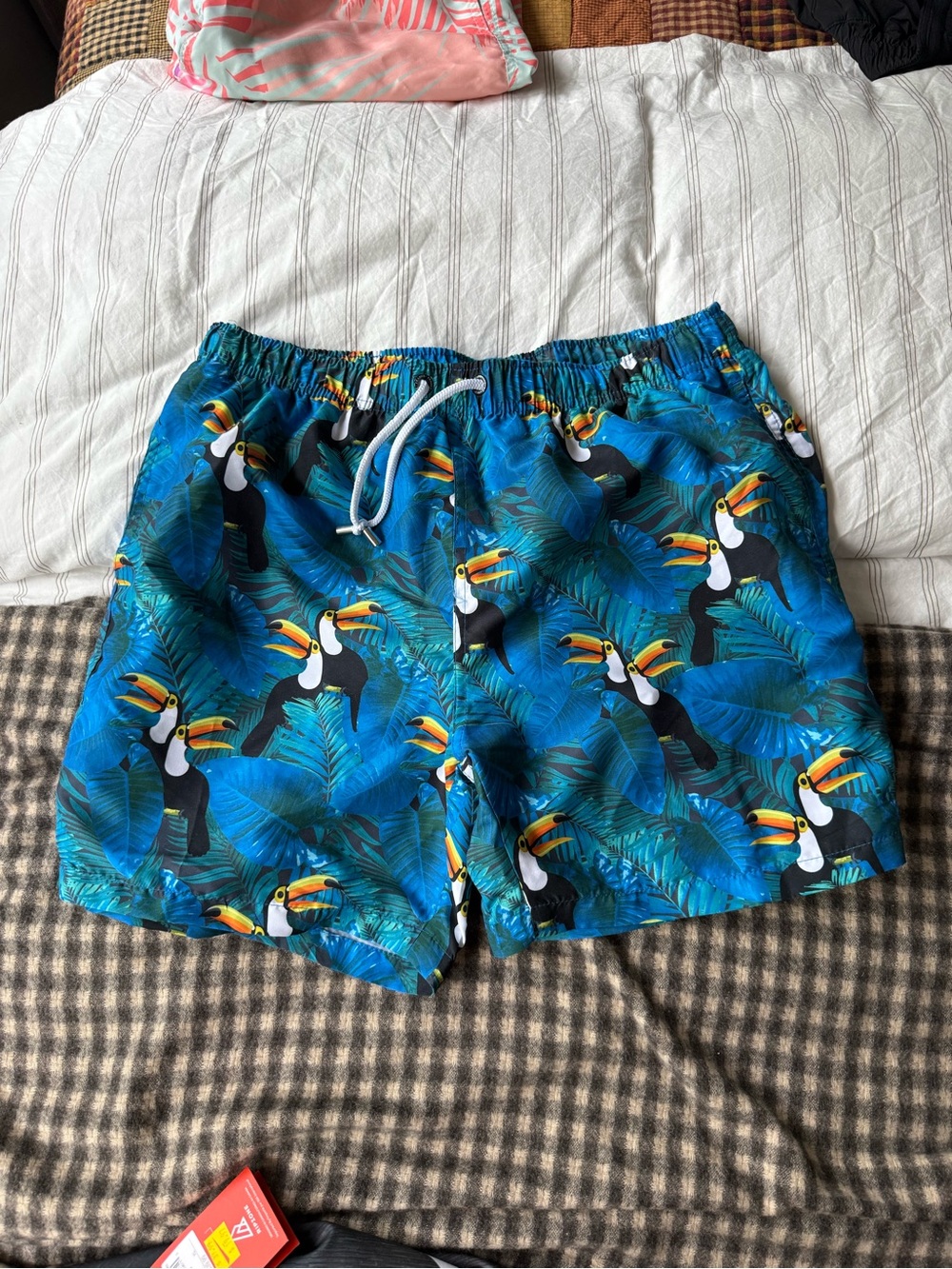 Tropical Toucan Men's Swim Trunks - Blue